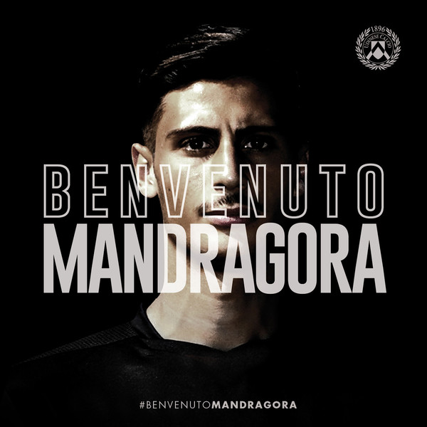 UC_Banner Mandragora_cb.jpg
