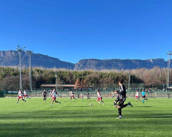 WhatsApp Image 2025-12-13 at 14.49.47b.jpeg