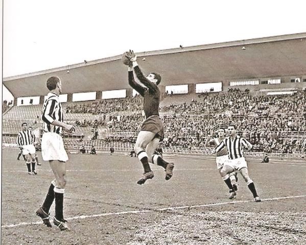 Di Natale esulta_sito (1).jpg